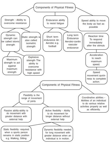 class 11 physical education chapter 5 notes|[Latest] Phy Fitness And Wellness .